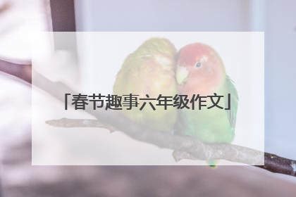 春节趣事六年级作文