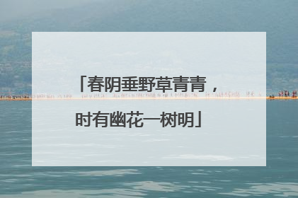 春阴垂野草青青,时有幽花一树明