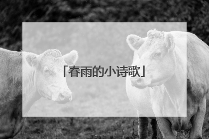 春雨的小诗歌
