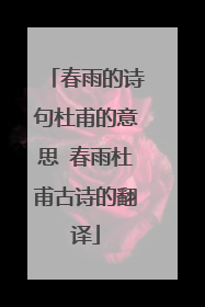 春雨的诗句杜甫的意思 春雨杜甫古诗的翻译