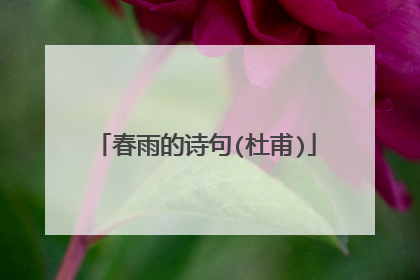 春雨的诗句(杜甫)