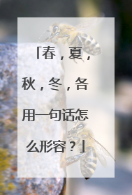 春,夏,秋,冬,各用一句话怎么形容?