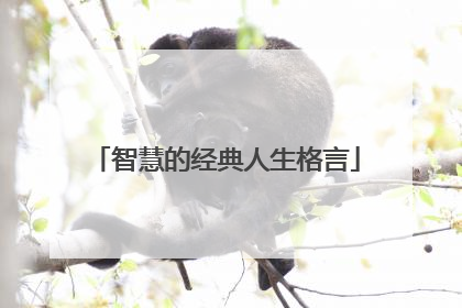 智慧的经典人生格言