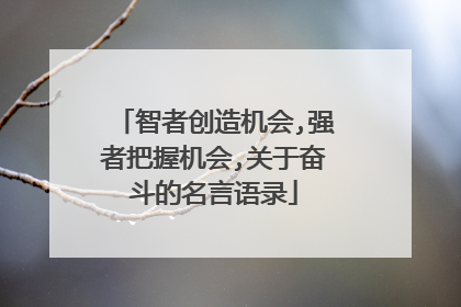 智者创造机会,强者把握机会,关于奋斗的名言语录