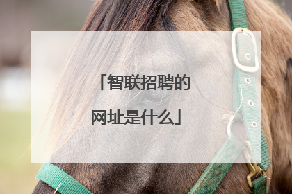 智联招聘的网址是什么