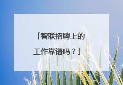 智联招聘上的工作靠谱吗？