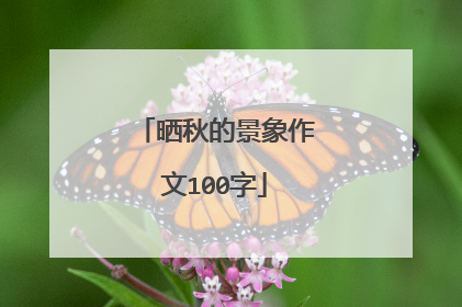 晒秋的景象作文100字
