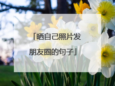 晒自己照片发朋友圈的句子
