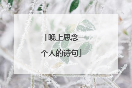 晚上思念一个人的诗句
