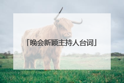 晚会新颖主持人台词