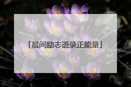 晨间励志语录正能量