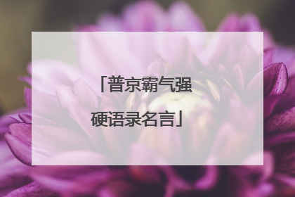 普京霸气强硬语录名言