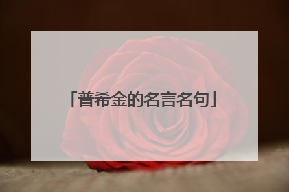 普希金的名言名句