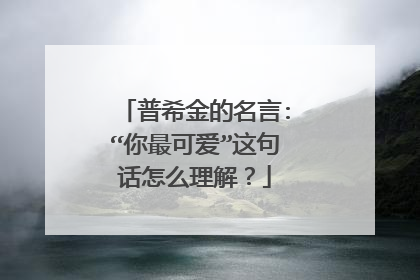 普希金的名言:“你最可爱”这句话怎么理解？