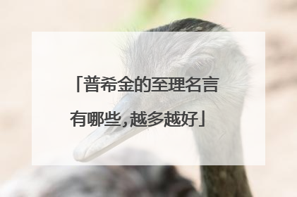 普希金的至理名言有哪些,越多越好