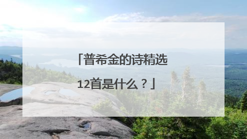 普希金的诗精选12首是什么？