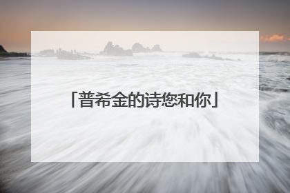 普希金的诗您和你