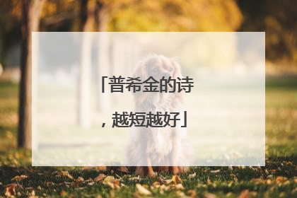 普希金的诗,越短越好