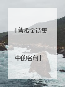 普希金诗集中的名句