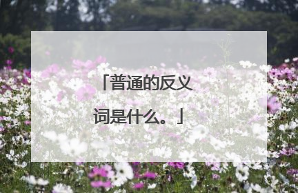 普通的反义词是什么。