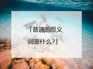 普通的反义词是什么?