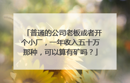 普通的公司老板或者开个小厂,一年收入五十万那种,可以算有矿吗?