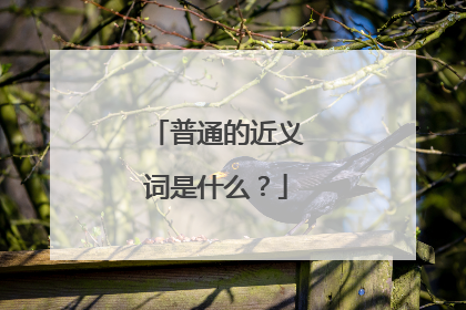 普通的近义词是什么？