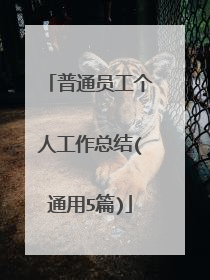 普通员工个人工作总结(通用5篇)