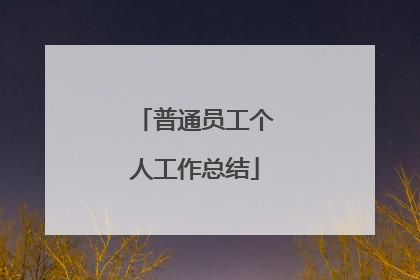 普通员工个人工作总结