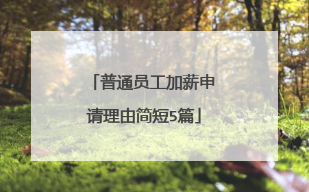 普通员工加薪申请理由简短5篇
