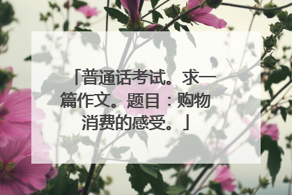 普通话考试。求一篇作文。题目：购物消费的感受。