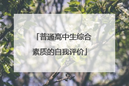 普通高中生综合素质的自我评价