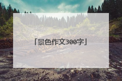 景色作文300字