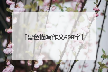 景色描写作文600字