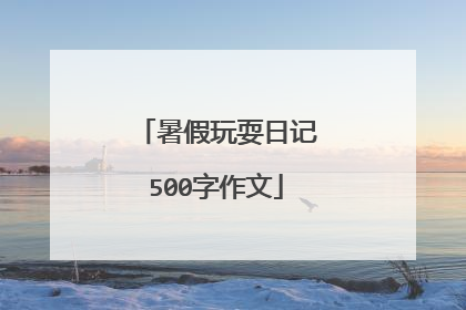 暑假玩耍日记500字作文