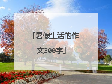暑假生活的作文300字