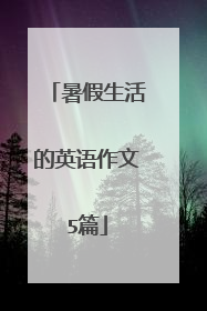 暑假生活的英语作文5篇