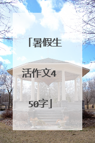 暑假生活作文450字