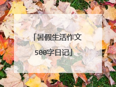 暑假生活作文500字日记