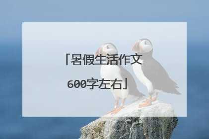 暑假生活作文600字左右