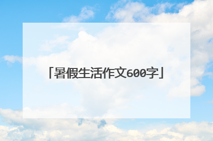 暑假生活作文600字