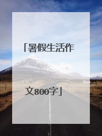 暑假生活作文800字