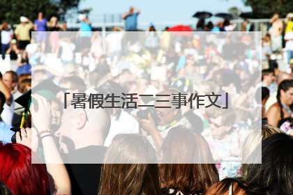 暑假生活二三事作文