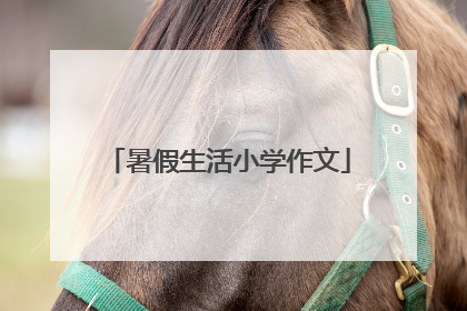暑假生活小学作文