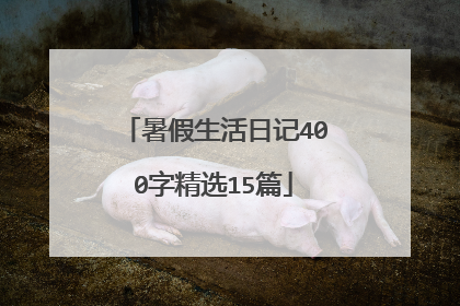 暑假生活日记400字精选15篇