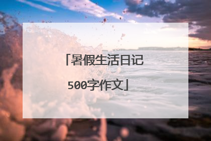 暑假生活日记500字作文