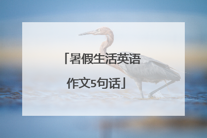 暑假生活英语作文5句话