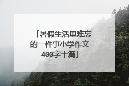 暑假生活里难忘的一件事小学作文400字十篇