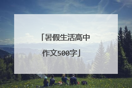 暑假生活高中作文500字