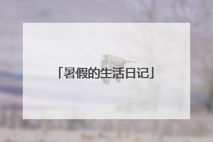 暑假的生活日记